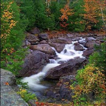 <b>cascading stream w fall foliage</b>