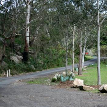 <b>9591 Lane Cove National Park, West Chatswood, NSW, 1st Sept'09, Kate/Sydney</b>