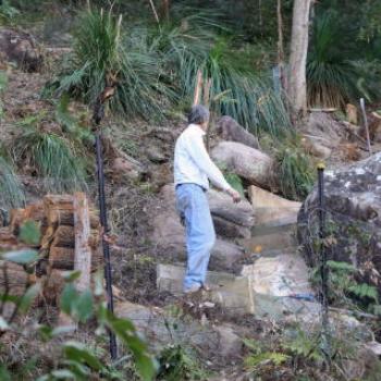 <b>7803 making steps up the hill, River back yard, Hawkesbury R, 8th Aug'09 Kate/Sydney</b>