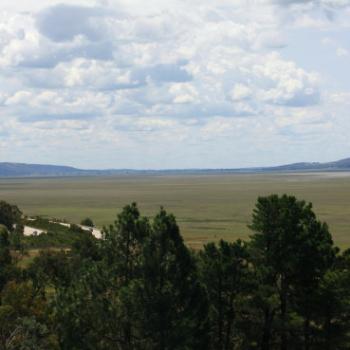 <b>2690 view NW over Lake George towards Goulburn, on the way home from Canberra, 21st Feb'10 Kate/Sydney</b>