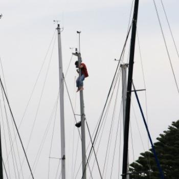 <b>7397 up the mast, Moyne River, Port Fairy, GORd, Vic, 28th Oct'09 Kate/Sydney</b>