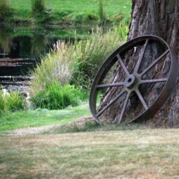 <b>4479 wagon wheel, Milbrook Resort near Queenstown, Sth Is, NZ, 20th Mar'10, Kate/Sydney</b>