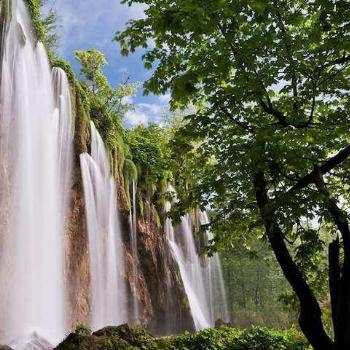 <b>Waterfalls and trees</b>