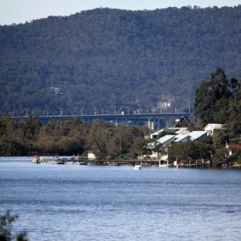<b>7854 Ralph surveying his realm, Hawkesbury R, 9th Aug'09, Kate/Sydney</b>