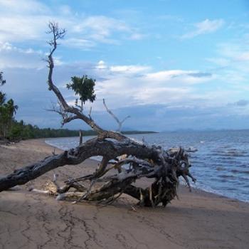 <b>Hinchinbrook Island beach</b>