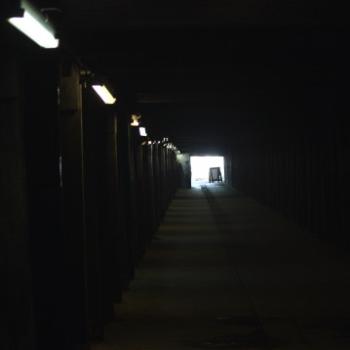 <b>4637 Light at the end of the Dogleg tunnel, Cokatoo Island, Sydney Harbour, 25th June'09 Kate/Sydney</b>