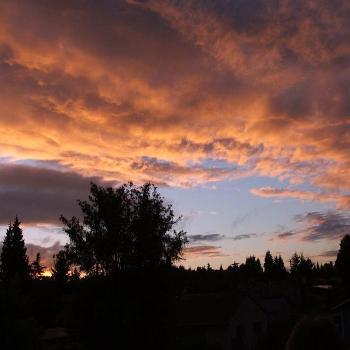 <b>sunset </b>