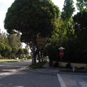 <b>Beverly Hills. See the platinum coloured fire hydrant instead of ordinary red. Doug / Adelaide</b>
