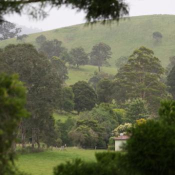 <b>4080 neighbour's house through the trees, propert near Gloucester, 28th Dec'12, Kate/Sydney</b>