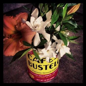 <b>Rhonda's gardenias, day lilies</b>