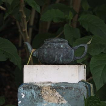 <b>185_6005 cup of tea, anyone, Wendy Whiteley's reclaimed garden, Lavender Bay, Lavender Bay, 22nd May'11, Kate/Sydney</b>