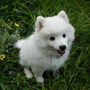 <b>Cute!</b>