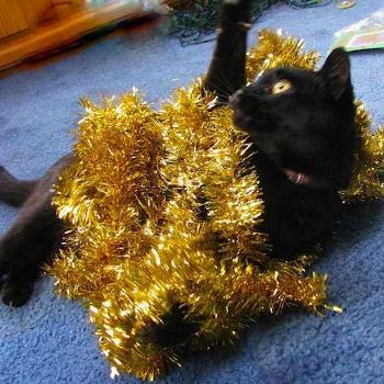 <b>Spike with Christmas garland</b>