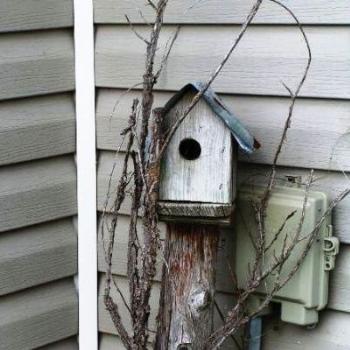 <b>Bird House 07-31-13 / Sue OK</b>