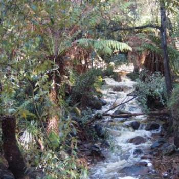 <b>Stream in the Cataract Gorge, Launceston, Tasmania in flood - Sacky</b>