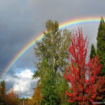 <b>October rainbow in Oregon</b>