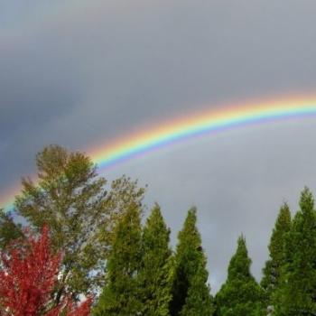 <b>rainbow </b>