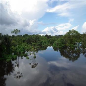 <b>Rio Negro, Amazonas, Brazil</b>