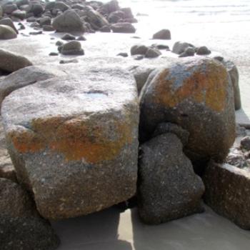 <b>Rocks, West Beach, Waterhouse, Tasmania</b>