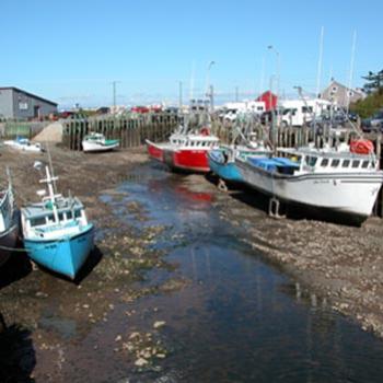 <b>low tide at Hall's Harbour, Nova Scotia, Canada. The tides along the Bay of Fundy are 8-11 meters high.</b> <b>low tide at Hall's Harbour, Nova Scotia, Canada. The tides along the Bay of Fundy are 8-11 meters high.</b>