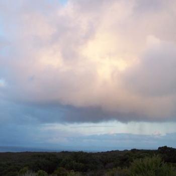 <b>cloud study 4 /dino</b>