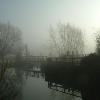<b>Cobham Mill, Surrey (Eileen, Surrey UK)</b>