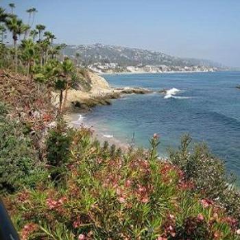 <b>CA/USA photos WAGDY 2008.</b>
