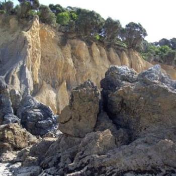 <b>rocks and cliffs, Walkerville, Vic. / dino</b>