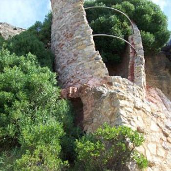 <b>lime kiln and trees, Walkerville, Vic. / dino</b>