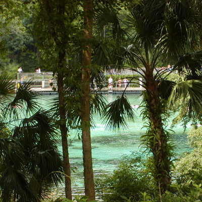 <b>Rainbow Springs, Florida</b>