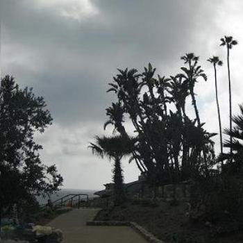 <b>CA/USA photos WAGDY 2008.</b>
