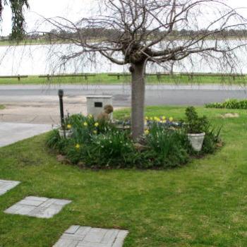 <b>6782 Wagga Wagga garden & Lake Alber Kate/Sydney</b>