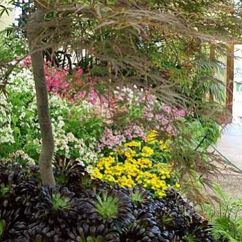 <b>Conservatory at Fitzroy Gardens, Melbourne / dino</b>
