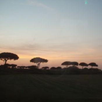 <b>evening sky, Rome</b>