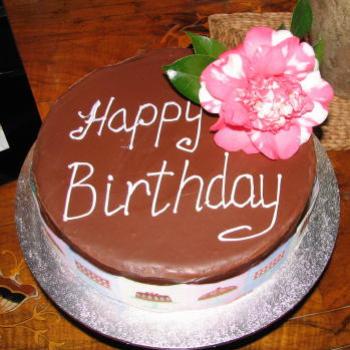 <b>6801 Happy Birthday with camellia Kate/Sydney</b>