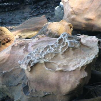 <b>8326 Can you see the frill necked lizard in the stone? (Carved by Nature) Hawkesbury River Sept'08Kate/Sydney</b> <b>8326 Can you see the frill necked lizard in the stone? (Carved by Nature) Hawkesbury River Sept'08Kate/Sydney</b>