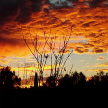 <b>Boddington Sunset W/Australia</b>