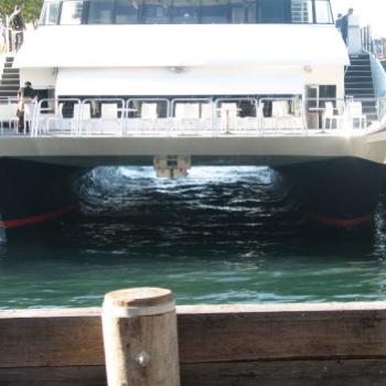 <b>7511 What's under the catamaran Circular Quay Sydney Sept'08Kate/Sydney</b> <b>7511 What's under the catamaran Circular Quay Sydney Sept'08Kate/Sydney</b>
