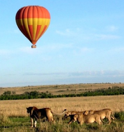 <b>Taken in Masai Mara, 2004</b>