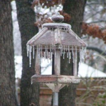 <b>Ice on the bird feeder  Sue/OK</b>