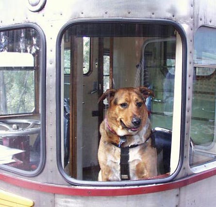 <b>Schultz in Rail Motor at Zig Zag</b>