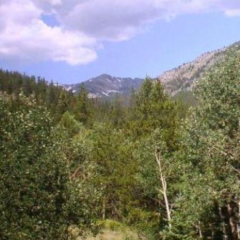 <b>Snowy peak above mountain forest in Colorado, July 2008, Wilodene</b> <b>Snowy peak above mountain forest in Colorado, July 2008, Wilodene</b>