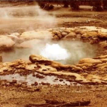 <b>Yellowstone  Sue/OK</b>