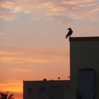 <b>I told him to be here by sunset,.....</b>