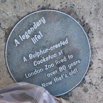 <b>Footpath Plaque at Taronga Zoo</b>