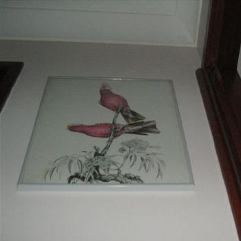 <b>What your art looks like to a 5 year old!</b>