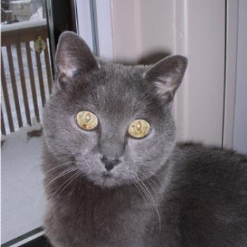 <b>Tinca now 17</b>