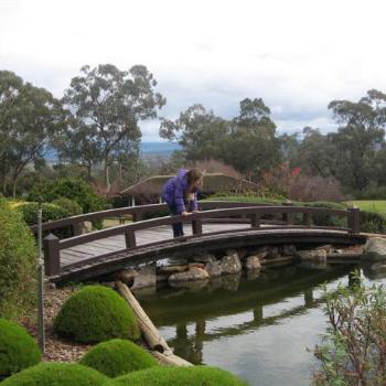 <b>Cowra Japanese Gardens - Bridge - June 2009</b>