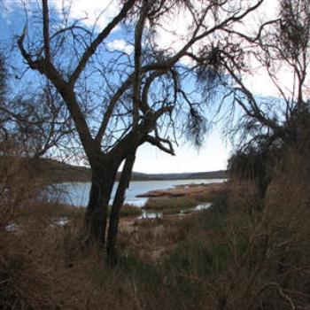 <b>Murchison R. West Australia</b>