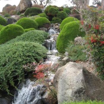 <b>Cowra Japanese Gardens - Waterfall - June 2009</b>